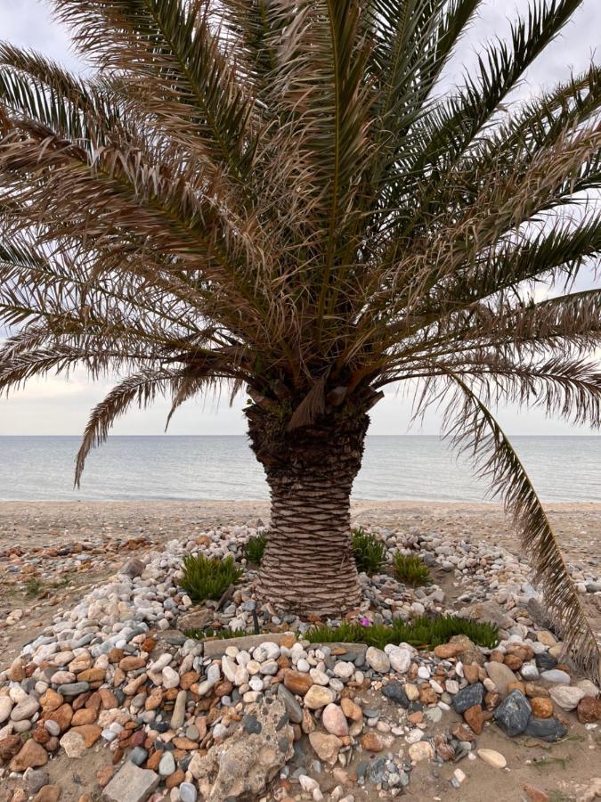 Niko Summer House Sozopoli Dış mekan fotoğraf